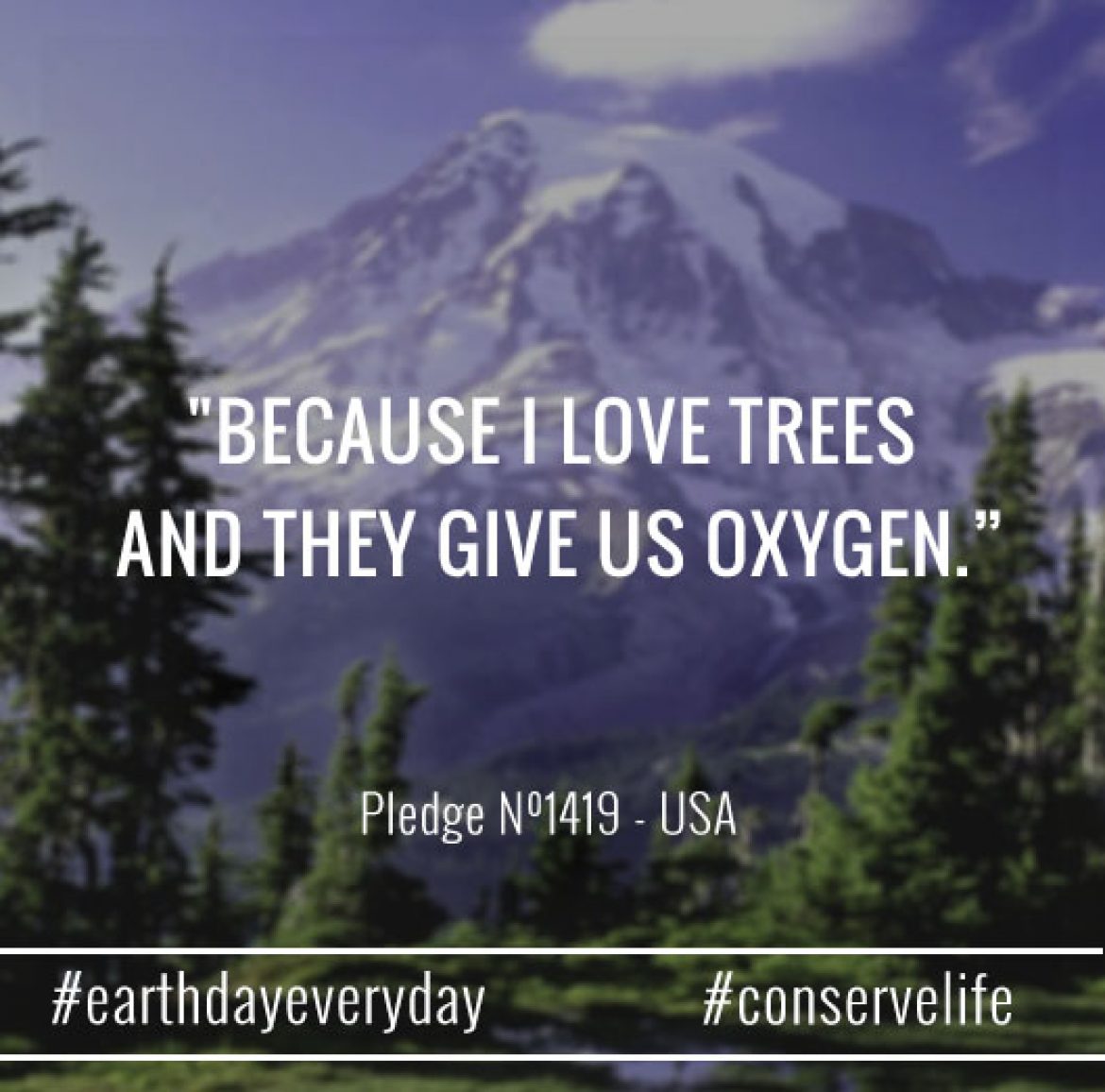 trees give us oxygen