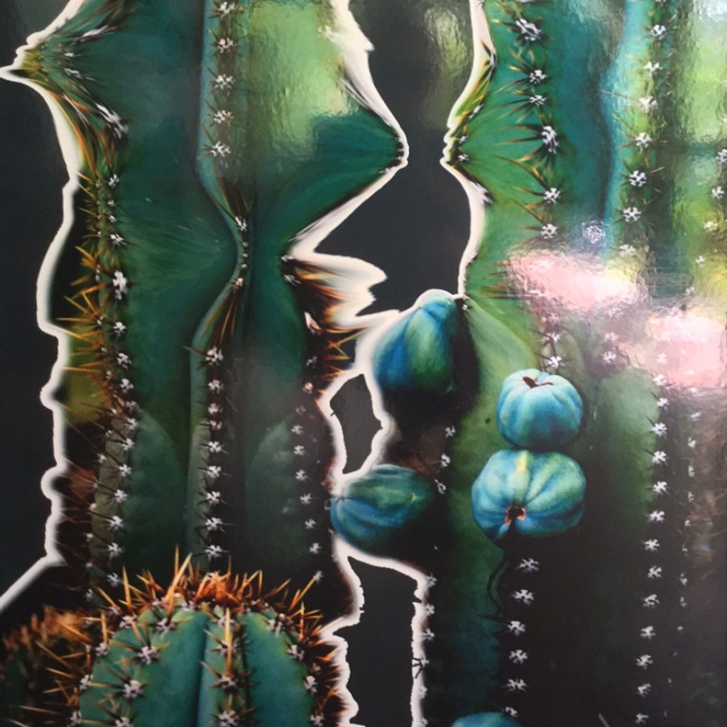 Art@Hospital amazing artwork ready to showcase 9
