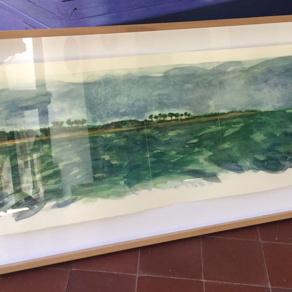 Art@Hospital amazing artwork ready to showcase 6