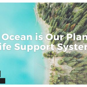 Ocean-Foundation