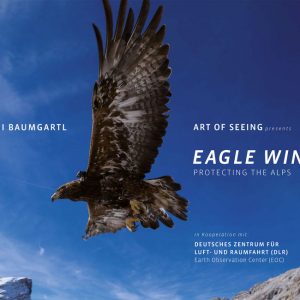 Eagle Wings Ambassador